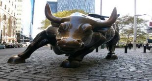 Bull Market/ხარის ბაზარი/Бычий рынок