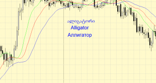 Alligator; ალიგატორი; Аллигатор • GeoForex.info