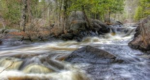 ფორექსის სტრატეგია "ველური მდინარე" (Wild River)