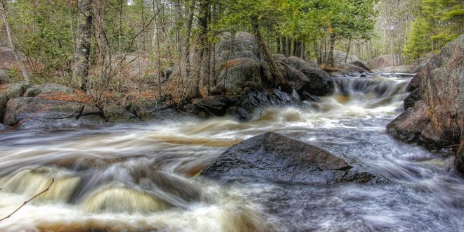 ფორექსის სტრატეგია "ველური მდინარე" (Wild River)